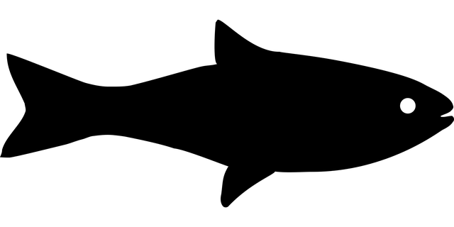 Pair 1 Icon